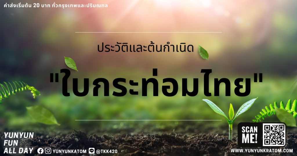 ประวัติและต้นกำเนิดพืชกระท่อมไทย
