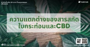 ความแตกต่างของสารสกัดใบกระท่อมและCBD