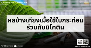 ผลข้างเคียงเมื่อใช้ใบกระท่อมร่วมกับนิโคติน