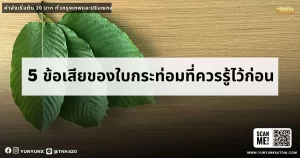 5 ข้อเสียของใบกระท่อมที่ควรรู้ไว้ก่อน