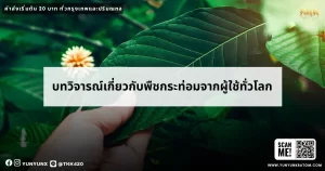 บทวิจารณ์เกี่ยวกับพืชกระท่อมจากผู้ใช้ทั่วโลก